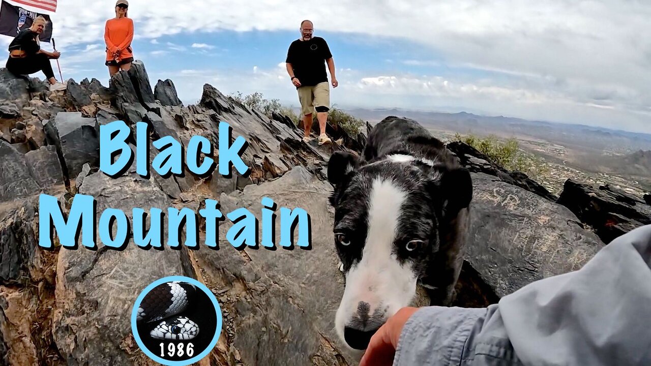 Black Mountain – Kingsnake's Home Den