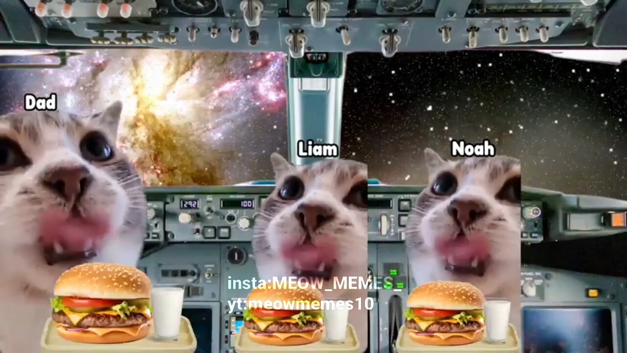 trip to mars pt.1 #FunnyMoments #ComedyReels #foru #viral #meme #viralmeme #catmeme #funnymeme #for