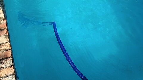 Brian's Pool service Removing worn out pool paint on pool