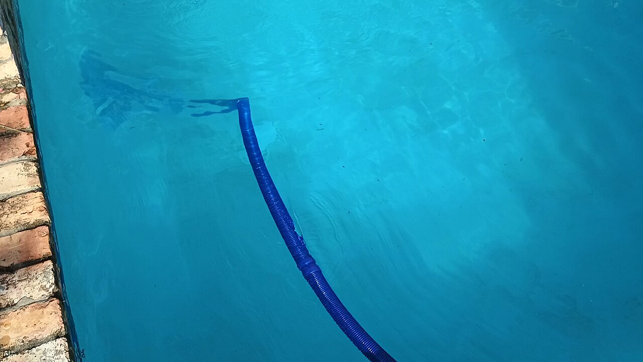 Brian's Pool service Removing worn out pool paint on pool
