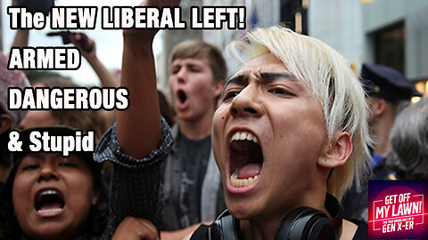 The New Liberal Left! Armed, Dangerous and Stupid