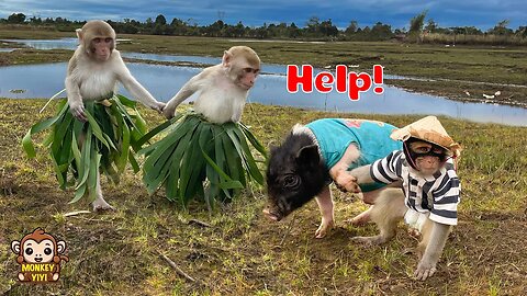 Monkey YiYi and YinYin are very sad and worried because Un In has disappeared