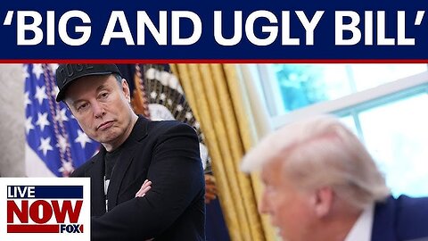 Elon Musk: 'Without Me, Trump Would Have Lost the Election'