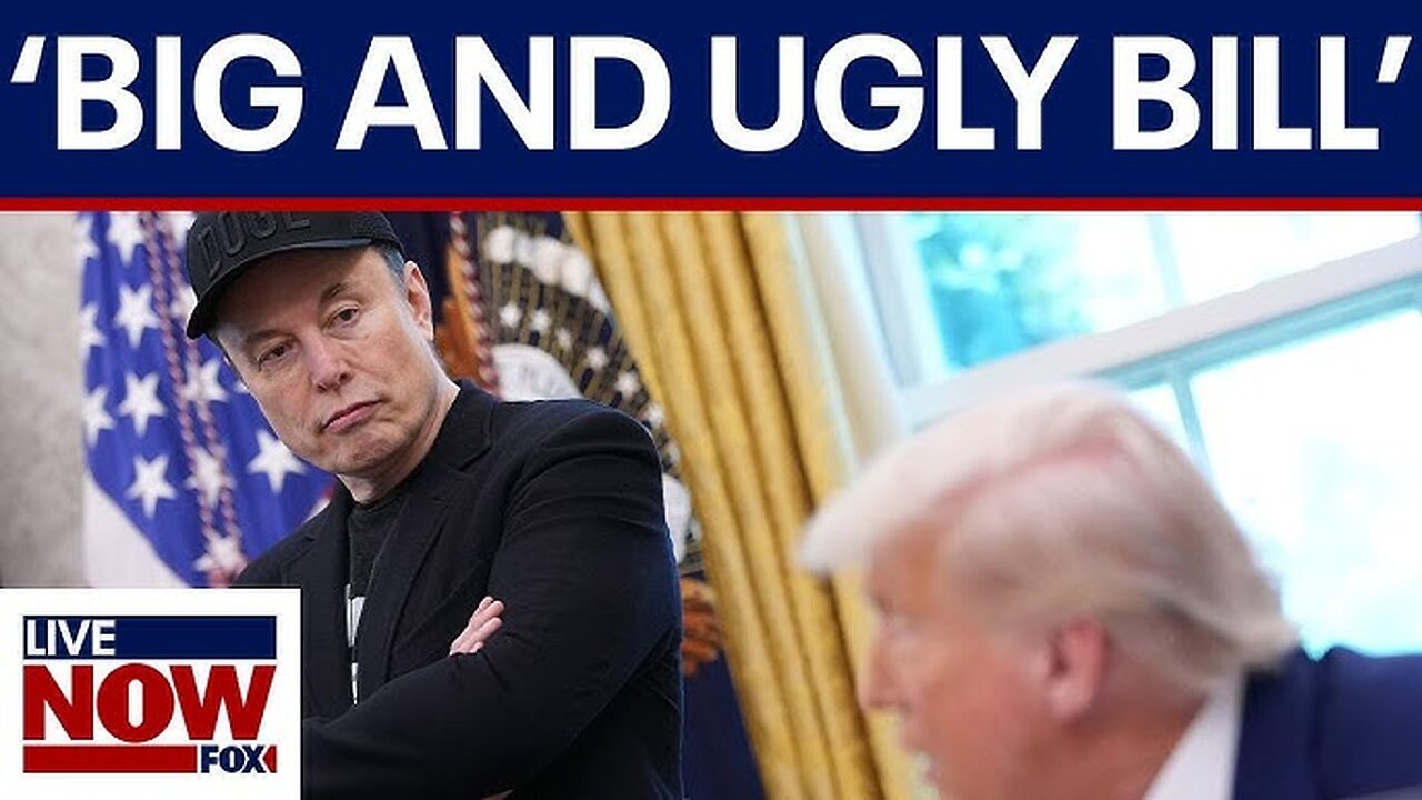 Elon Musk: 'Without Me, Trump Would Have Lost the Election'
