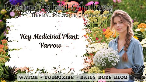 Key Medicinal Plant: Yarrow