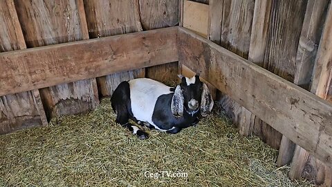 Graham Family Farm NW: 9:30 AM August 11 2025