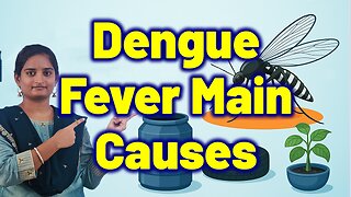 Risk Factors, Triggering Factors and Causes for Dengue | Homeopathy, Medicine Treatment Cure Surgery