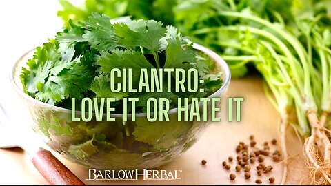 The Health Benefits of Cilantro