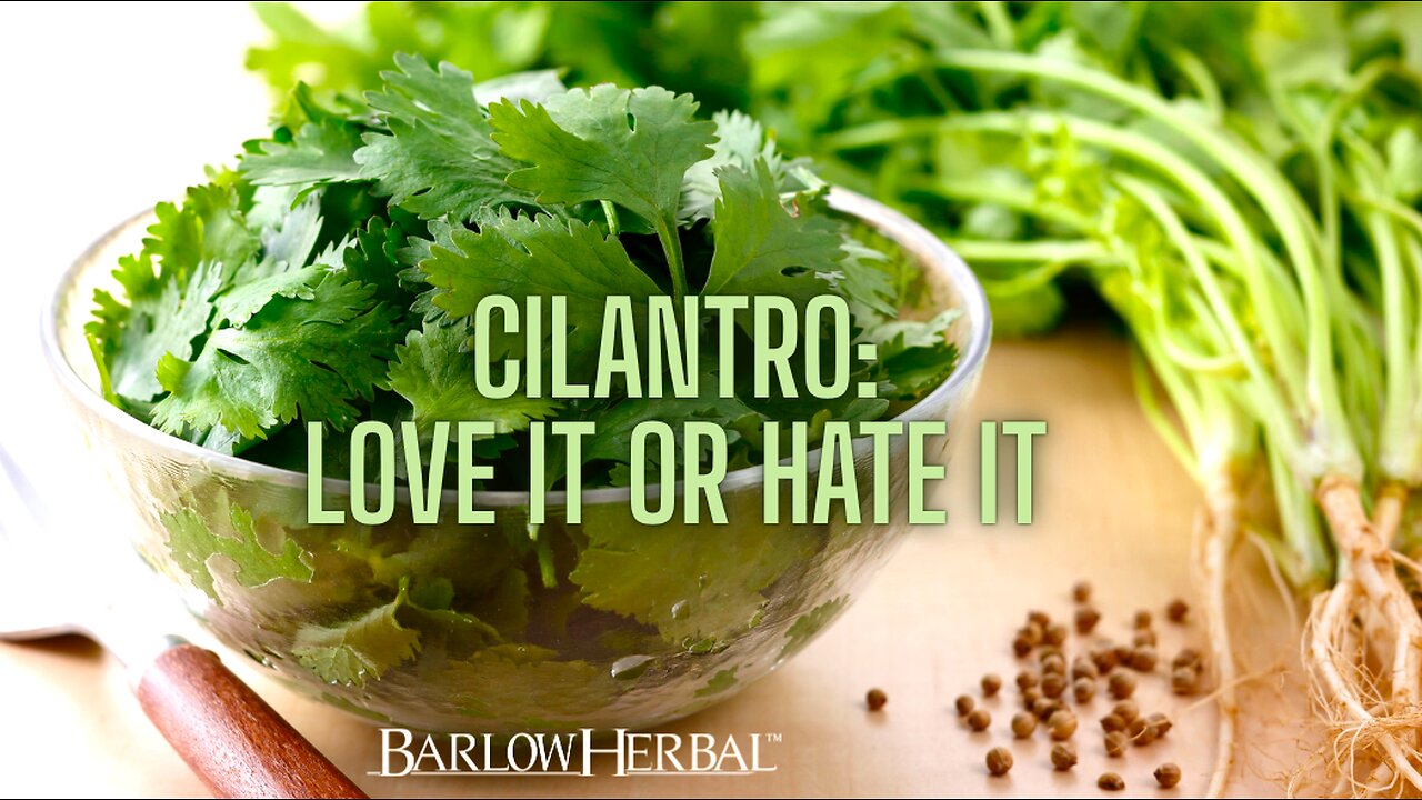 The Health Benefits of Cilantro