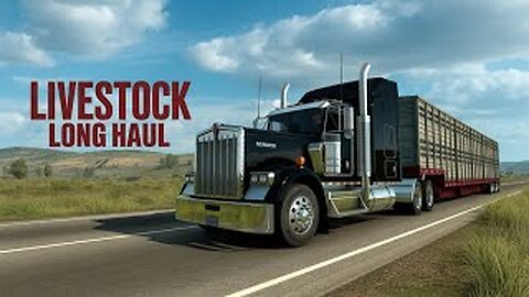 American Truck Driver Simulator driving when tired is not a good idea
