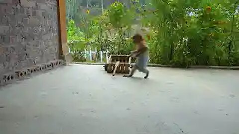 Monkey MiMi Harvests Grapes With Her Goat Friend And Gets A Car From Mom