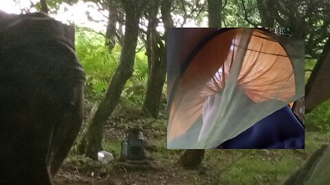 wind means redue the hammock , #2025 ,