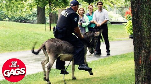 Carney Cuts Canadian 🇨🇦 Mountie 🐴 Budget | Just For Laughs Gags
