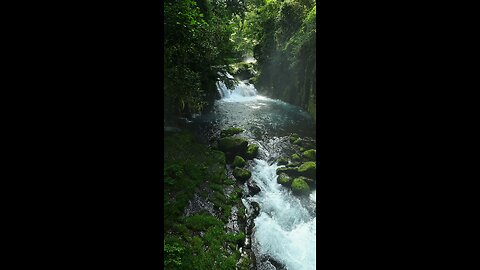 masoon Nature