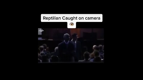 Reptilian caught on camera