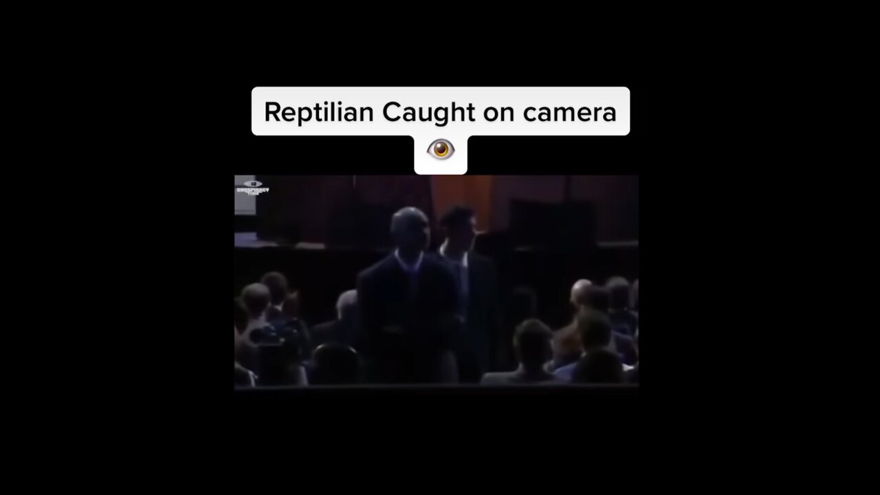 Reptilian caught on camera