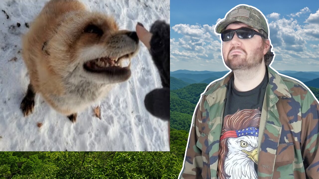 Finnegan Fox Talks Lots And Pick Pockets! (SaveAFox) - Reaction! (BBT)