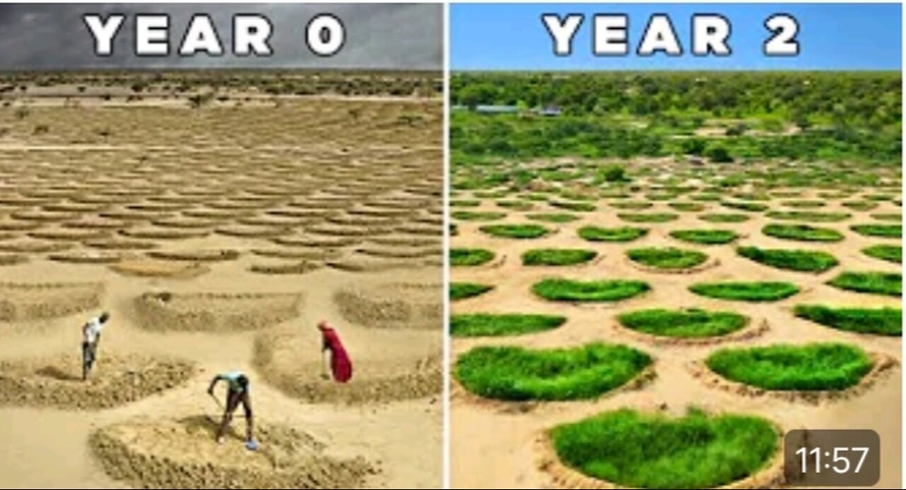 How The UN is Holding Back SAHARA Desert