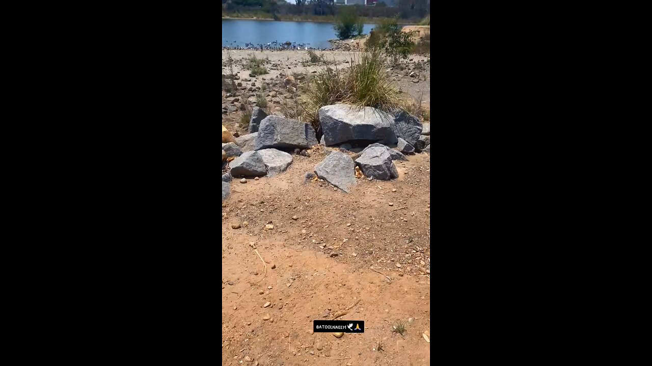 #foryoupage#viralvideo