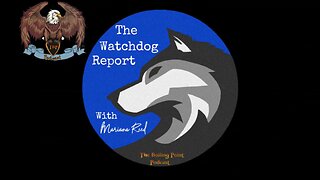 Watchdog Report Midnight Edition: No pornography here! Really