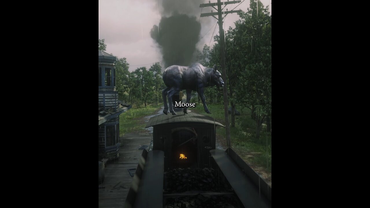 moose on a train bro #moose #song #rdr2 #rdr #gaming #fyp #funny #dumb #viral #meme #shorts