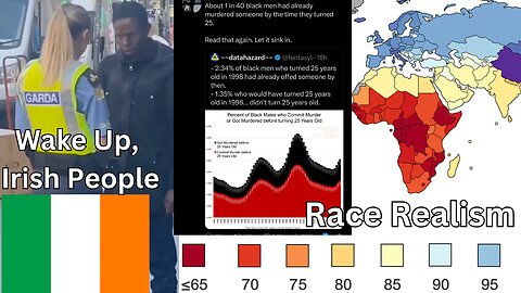 African Tries To Murder Baby? Time For Race Realism In Ireland...