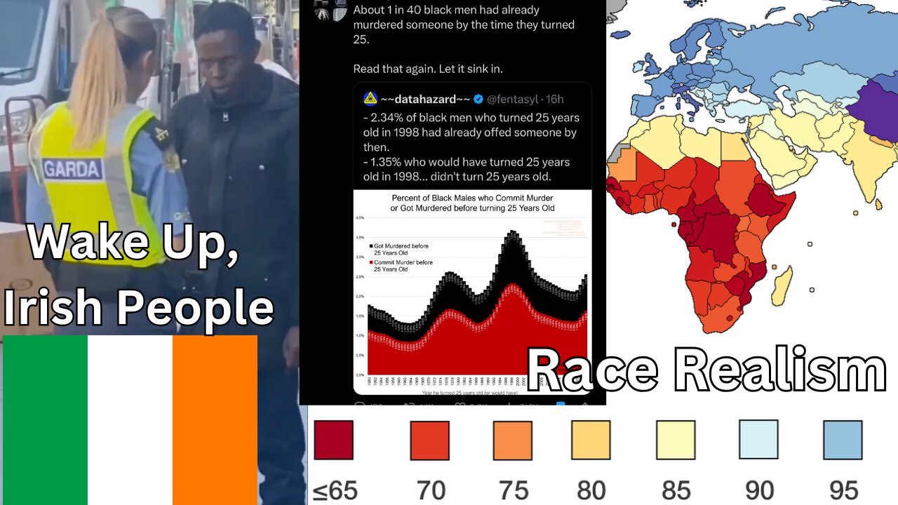 African Tries To Murder Baby? Time For Race Realism In Ireland...
