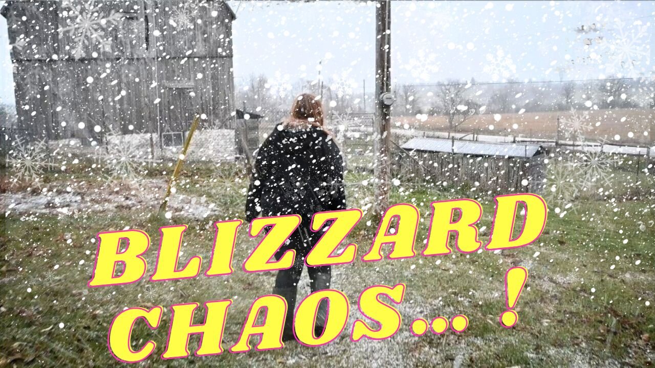 First Blizzard On The FARM And I Made A BIG Mistake!