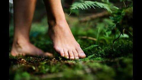 The Earthing Movie
