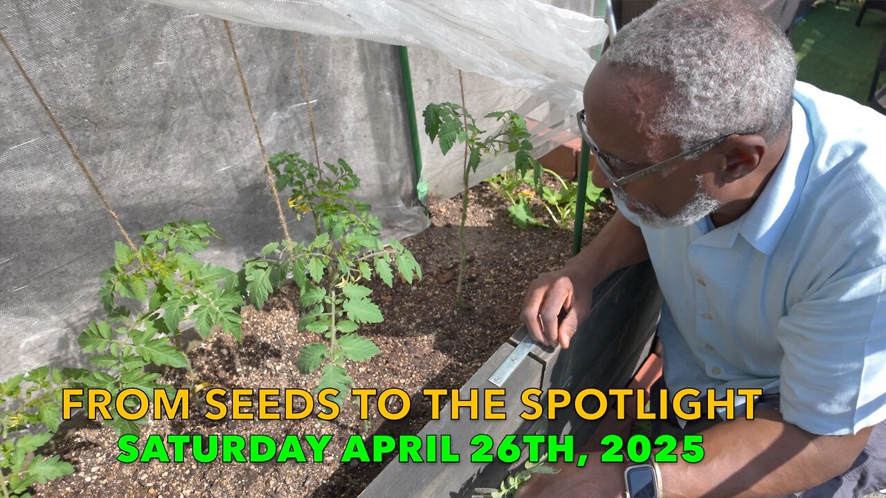 From Seeds to the Spotlight!