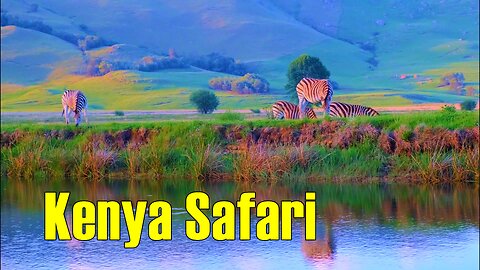 Unforgettable Kenya Safari: Lions, Elephants, Giraffes, and Breathtaking African Wilderness