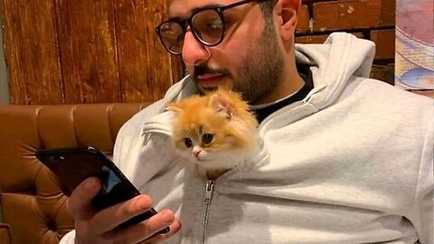 Funniest Cat and their Human you can't watch without Laugh😂