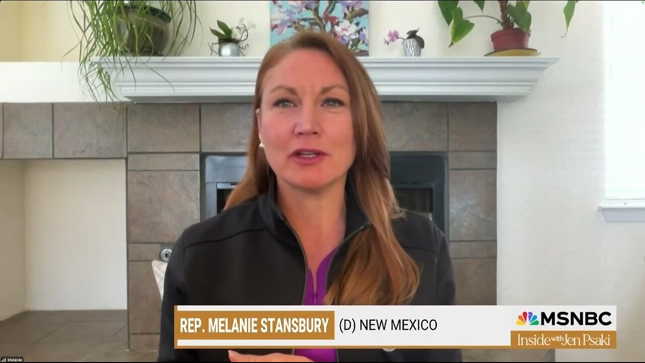 Rep Stansbury Claims Musk's Profiteering Off Social Security