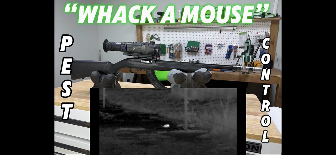 Thermal mouse hunting!!!!