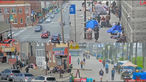 LIVE : Protests & Live Events