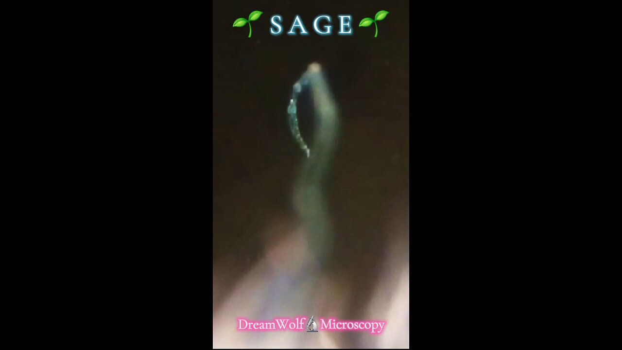 Spawning QuantumDOTS dusted into all plants 🌫✈️