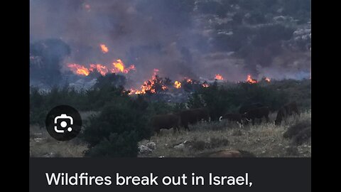 100 day Trump Ratings, Amazon + Tariffs, & Israel on Fire: Ep 27