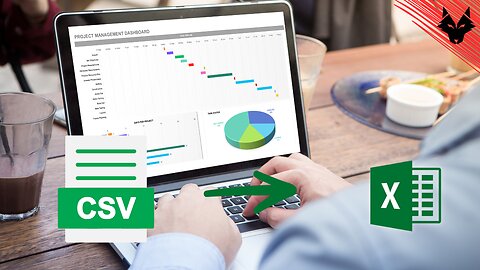 How to import a csv file to excel