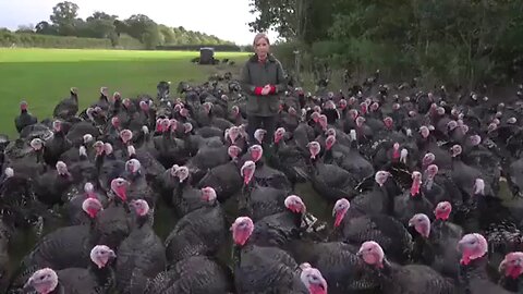 😍😍😘🔥 😍💦 FUNNY Animals and pet's💕😘 😘🔥 💕😘 😍💦 💦