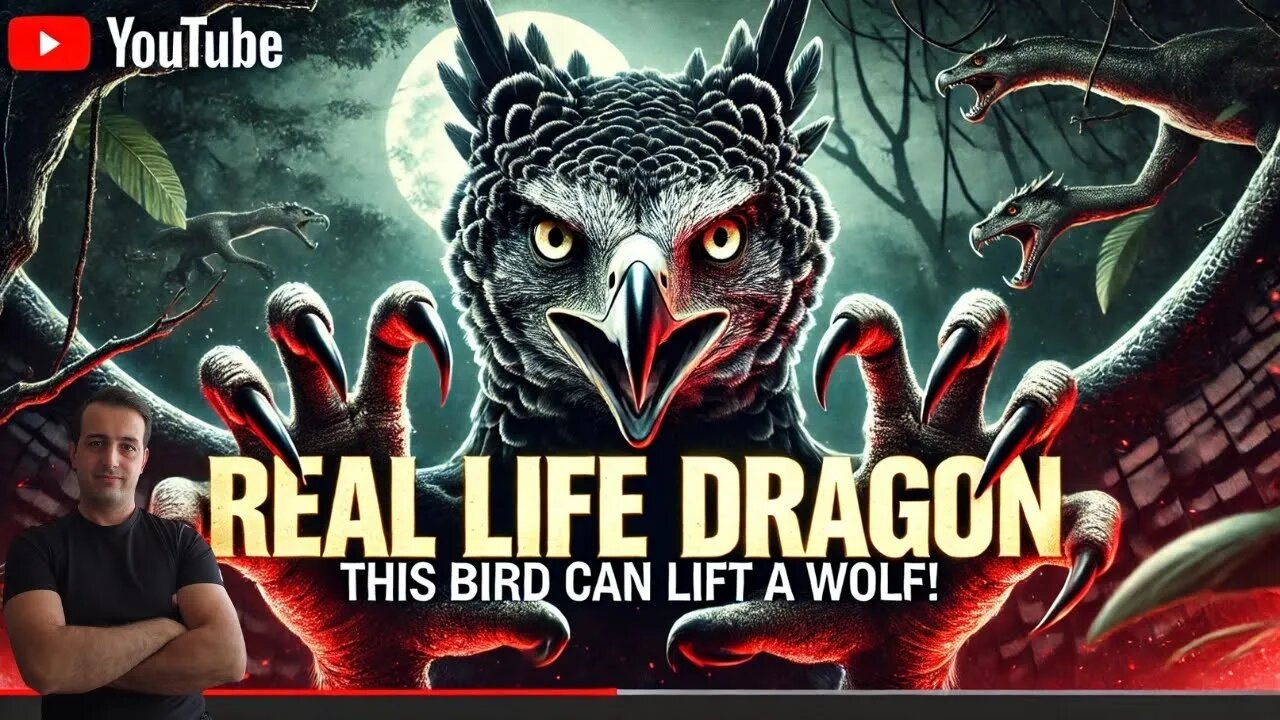 The SKY’S DEADLIEST PREDATOR! (Harpy Eagle) 🦅⚡