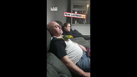 लवली विडिओ