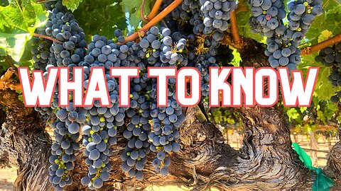 What is an Estate Winery?