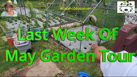 Last Week of May Garden Tour - #catshobbycorner #garden #gardentour