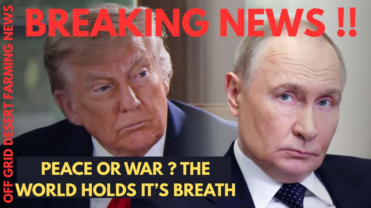 BREAKING NEWS: THE CALM BEFORE THE STORM....WILL THERE BE PEACE OR WAR AS TRUMP & PUTIN SET TO MEET