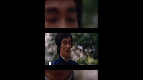 Bruce Lee the legend
