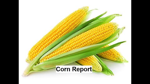 Cornholio's Revenge Preview