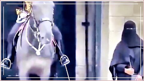 Dogs and Horses Can See The Evil Spirits of Islam | What about You?