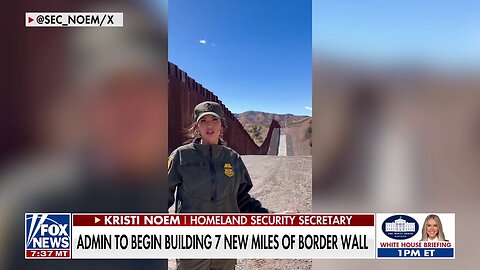 Border Patrol union praises Trump border wall construction: 'Amazing' what his policies have done