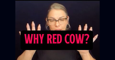Why Red Cow? 🐄 #signlanguage #talk #asl #knowledge