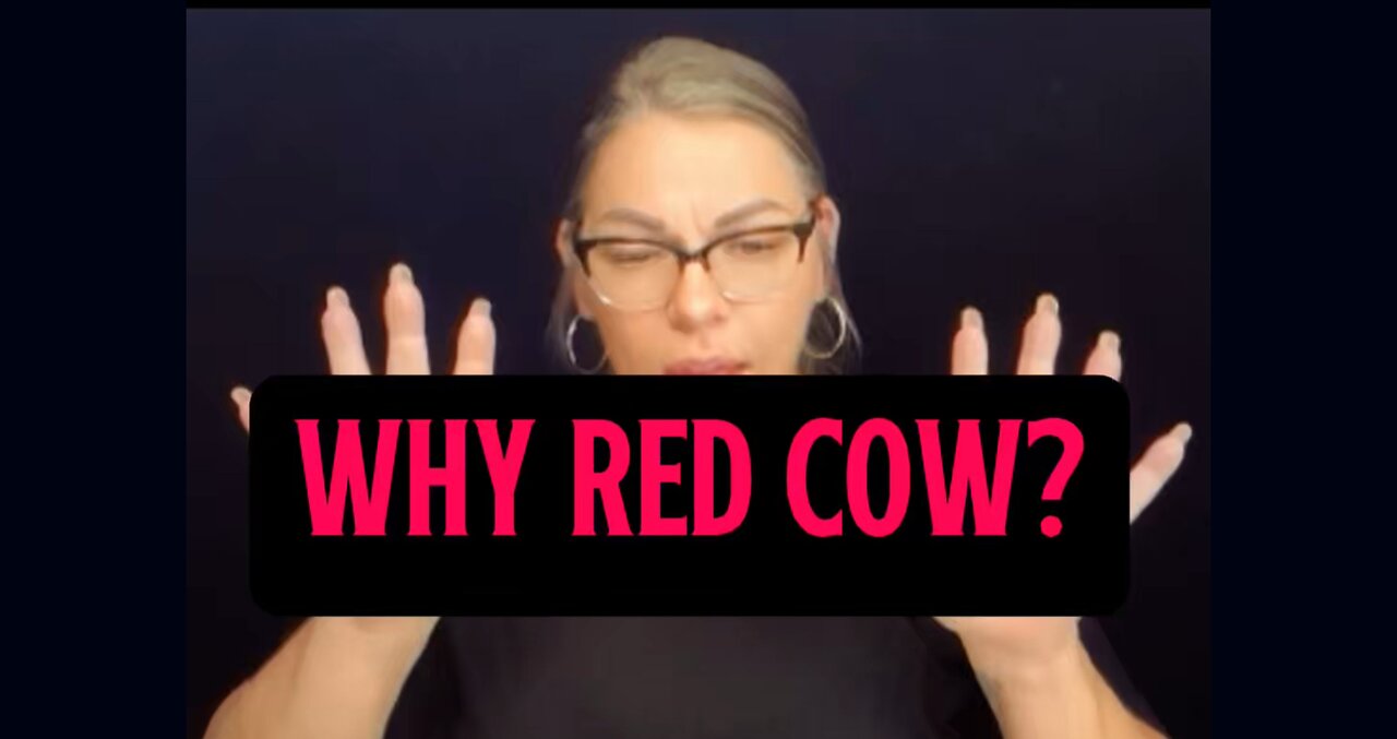 Why Red Cow? 🐄 #signlanguage #talk #asl #knowledge